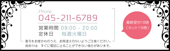 PhoneF045-211-6789(ŏItp[}AJ[18:00" / Jbg19:00܂) 