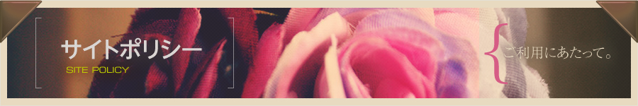TCg|V[ - pɂāB
