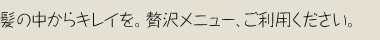 ̒LCBґ򃁃j[ApB
